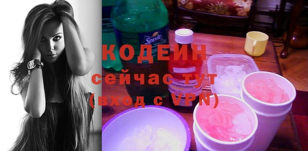 гашик Майский