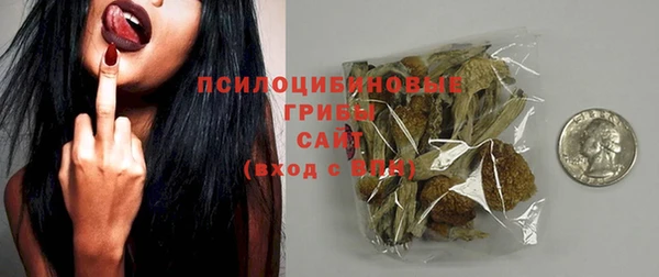гашик Майский