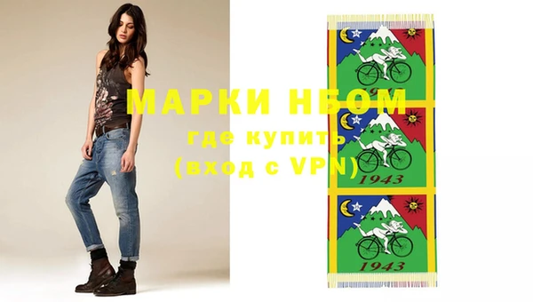 гашик Майский