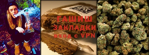 гашик Майский