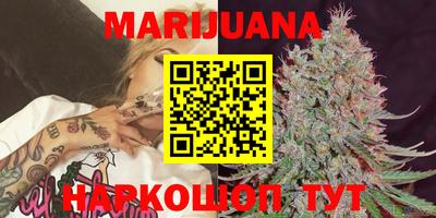 сатива Бийск