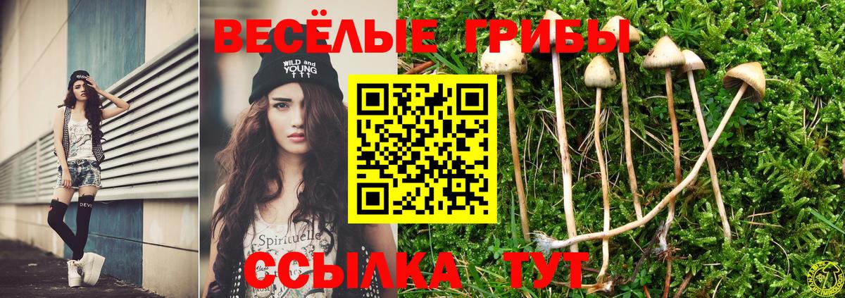 Пятигорск  Псилоцибиновые грибы ЛСД  Вход с VPN  Галлюциногенные грибы Cubensis 